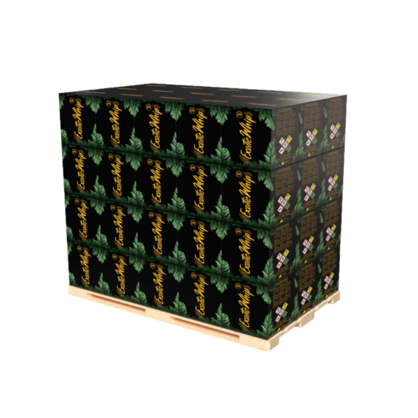 Cargador de Crema Exotic Original 670gram - Caja con 6